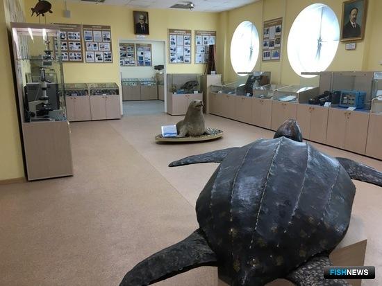 Обновленный морской музей ТИНРО принял первых гостей