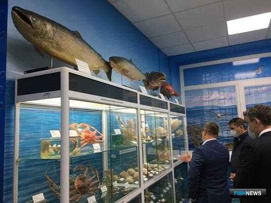 Обновленный морской музей ТИНРО принял первых гостей