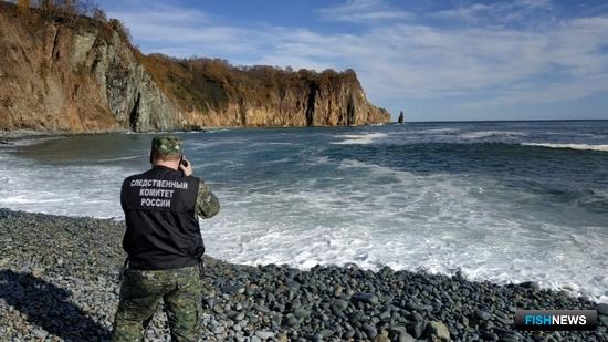 Главными подозреваемыми в деле о камчатском заморе стали водоросли Главными подозреваемыми в деле о камчатском заморе стали водоросли