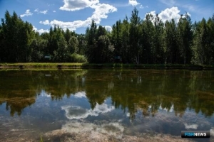 «Рыбные» поправки в Лесной кодекс отправятся в Госдуму