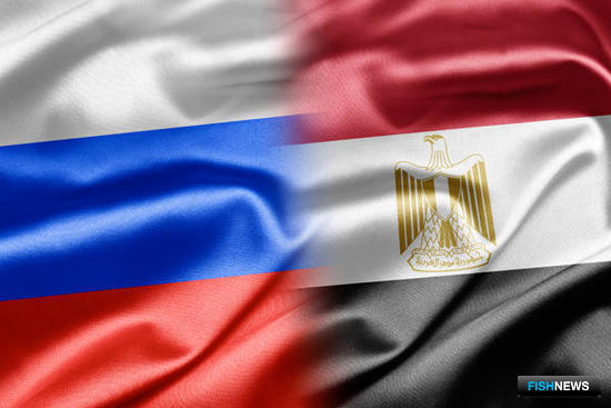 Российская рыба ждет «визу» в Египет