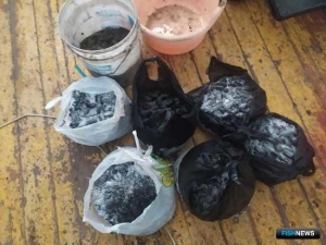 Браконьерские дары моря не дождались покупателей Браконьерские дары моря не дождались покупателей