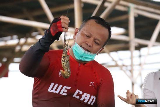 «Рыбному» министру Индонезии грозит пожизненное