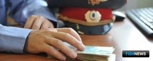 Камчатские полицейские «погорели» на нерке Камчатские полицейские «погорели» на нерке