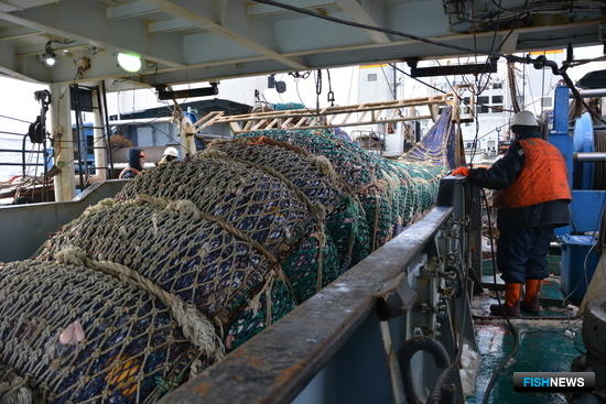 Аукционы в рыбной отрасли перейдут на электронный формат