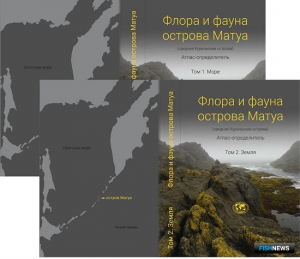 Уникальных обитателей острова Матуа внесли в атлас Уникальных обитателей острова Матуа внесли в атлас