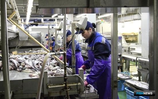 В рыбном хозяйстве приняты новые правила охраны труда