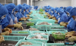 Вьетнамским морепродуктам стало сложнее попасть в КНР Вьетнамским морепродуктам стало сложнее попасть в КНР