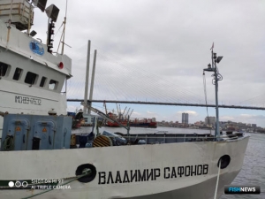 Специалисты проверили рыбные популяции Японского моря Специалисты проверили рыбные популяции Японского моря
