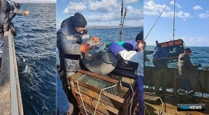 Промысловые запасы Берингова моря оценили ученые Промысловые запасы Берингова моря оценили ученые