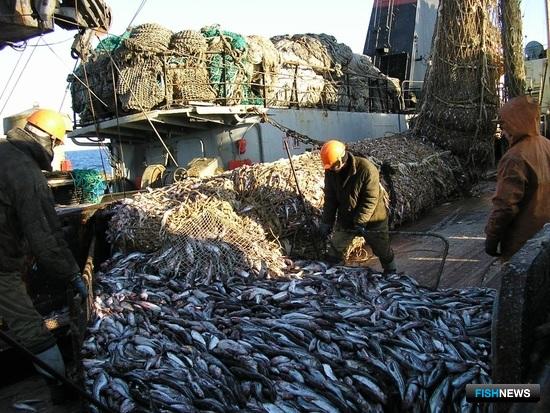 Рыбаки переживают за порты