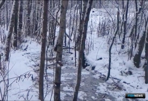 «Русская аквакультура» приостановила производство в Карелии «Русская аквакультура» приостановила производство в Карелии