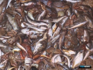 Российским капитанам напоминают о японских сетях