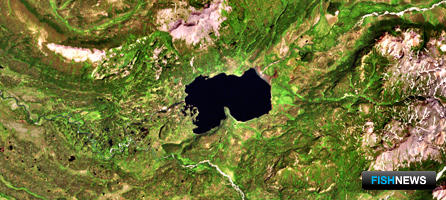 Паланскому озеру хотят вернуть статус заказника