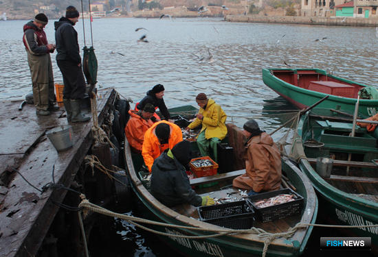 Крымским рыбакам снижают расходы на страховые взносы