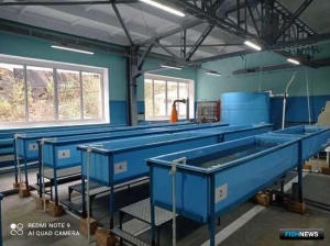 Рыбоводы пустили субсидию не туда