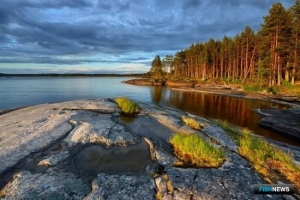 Карельским форелеводам упростят работу в лесах