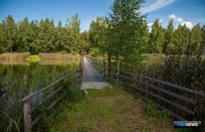 «Рыбные» поправки в Лесной кодекс приняли в первом чтении