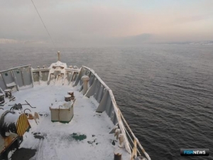 Наука оценит пополнение рыбных запасов Баренцева моря