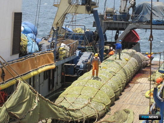 Ученые определят перспективы российского рыболовства в Атлантике