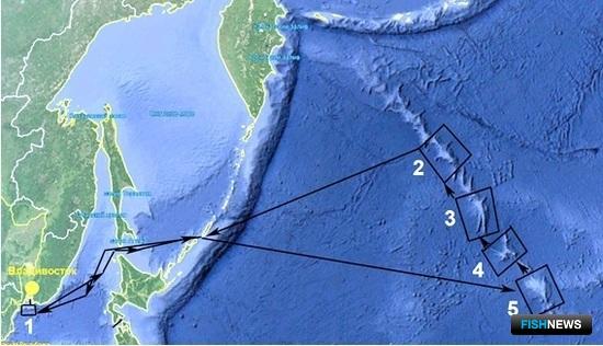 Подводные поднятия Северной Пацифики исследуют ученые