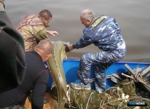 Рыбоохране готовят показатели эффективности Рыбоохране готовят показатели эффективности