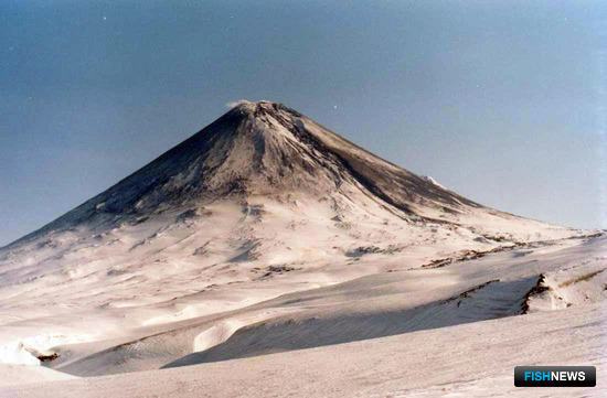 Ученые оценили риски для рыбы от извержения вулкана на Камчатке