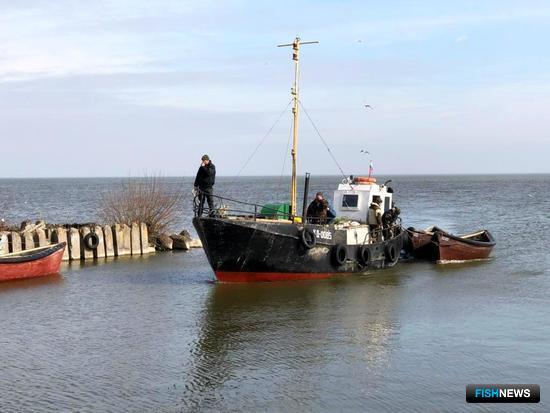 Калининградские рыбаки взялись за корюшку