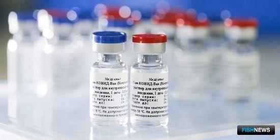 Прививки против коронавируса стали чаще указывать в резюме