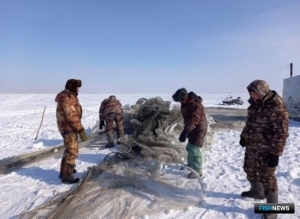 Ученые оценили, как зимует рыба на крупнейшем озере Западной Сибири Ученые оценили, как зимует рыба на крупнейшем озере Западной Сибири