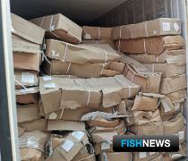 Коробки с семгой пытались ввезти «шиворот-навыворот» Коробки с семгой пытались ввезти «шиворот-навыворот»