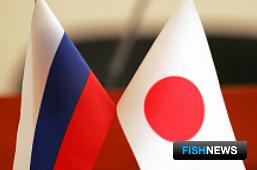 Россия и Япония хотят запустить новые «рыбные» проекты