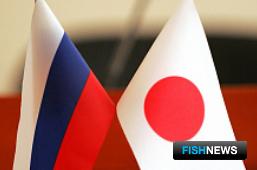 Россия и Япония хотят запустить новые «рыбные» проекты Россия и Япония хотят запустить новые «рыбные» проекты