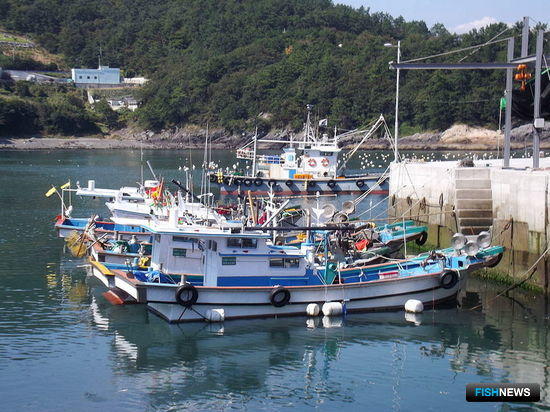 Южная Корея избавится от лишнего рыбацкого флота