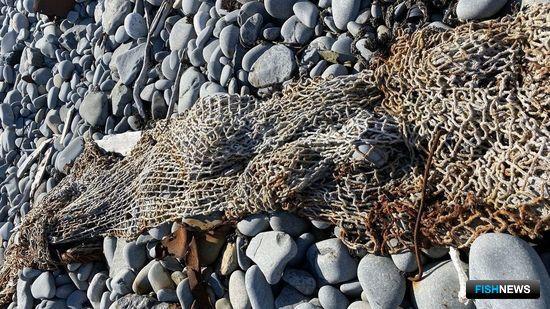 Алексей Голенкевич: Баренцево море копит мусор всей Атлантики