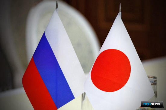 Япония и Россия усилят исследования лососей