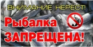
			В Курганской области вводится оперативно-профилактическая операция «Нерест»		