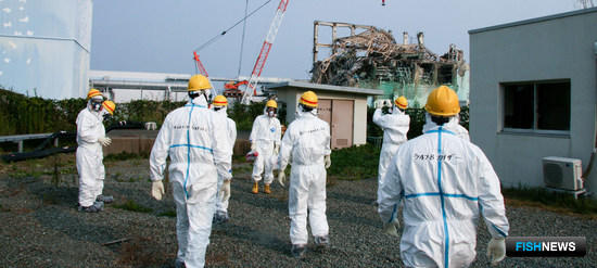 Воду с «Фукусимы-1» решили слить