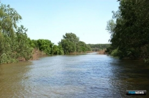 Режим водохранилищ Нижней Волги обещали адаптировать для рыбной отрасли