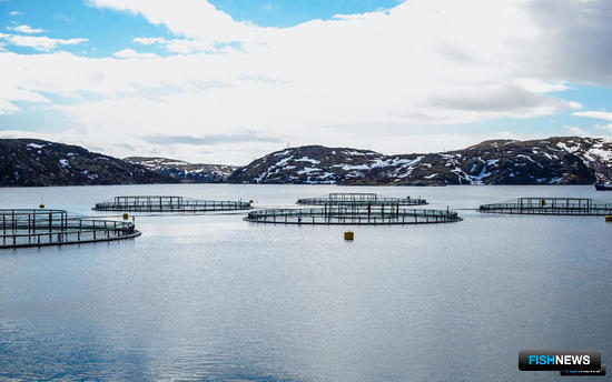«Рыбный» блок вошел в план по развитию Арктики