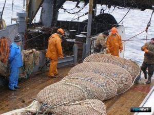 ВАРПЭ предложила усовершенствовать подходы к прогнозированию рыбных запасов