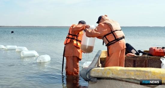 Уральские аквафермеры хотят объединиться для защиты урожаев