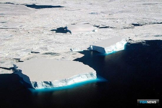 ЕС не оставляет борьбу за мегазаповедники в Антарктике