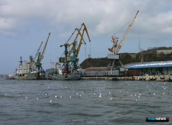 Рыбаки Приморья изучают новые рынки сбыта