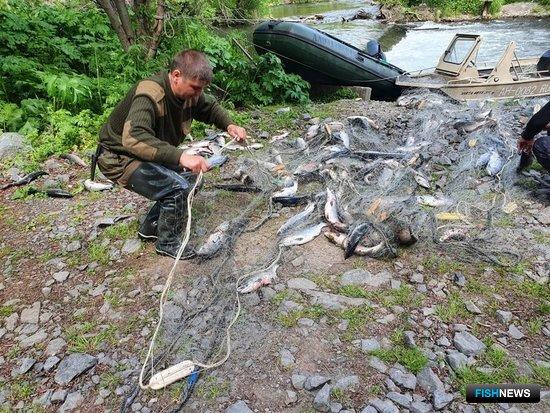 Камчатских браконьеров поймали с поличным