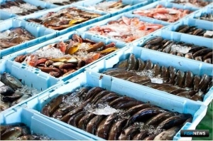 Ввоз рыбы в ЕС останется на особом контроле