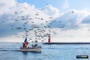 Рыбному хозяйству Евросоюза помогут специальным фондом