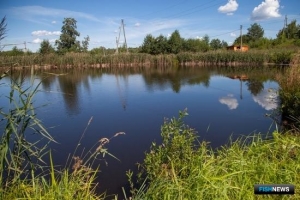 Рыбохозяйственные водные объекты определят по специальной методике Рыбохозяйственные водные объекты определят по специальной методике