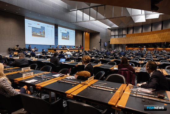 Страны ВТО договорились скоро прийти к соглашению по рыбе