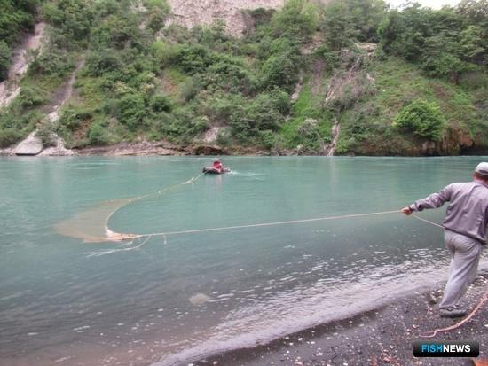 ГЭС Северного Кавказа проверяют на вред рыбе